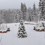 Snow covered Courtyard at Hidden Valley B&B Snow covered Courtyard at Hidden Valley B&B