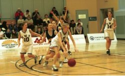 Articbball250x153