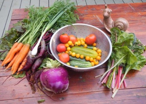 Vegetables fresh from the Hidden Valley Bed & Breakfast garden
