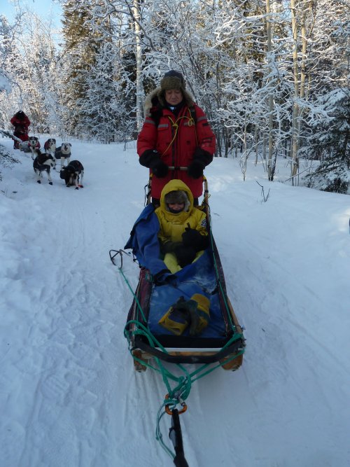 Touring on a Dog Sled in Yukon