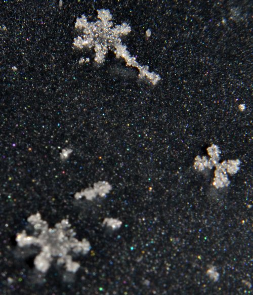 snowflakes magnified - Hidden Valley B&B