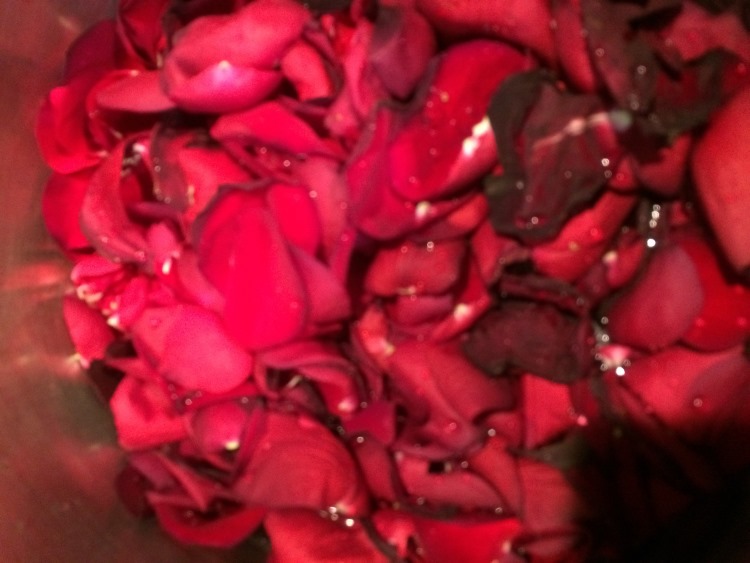 Rose Petals for Aurora Dance