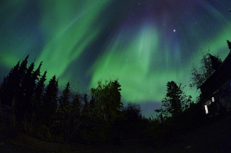 Things to Do in the Yukon During the Day